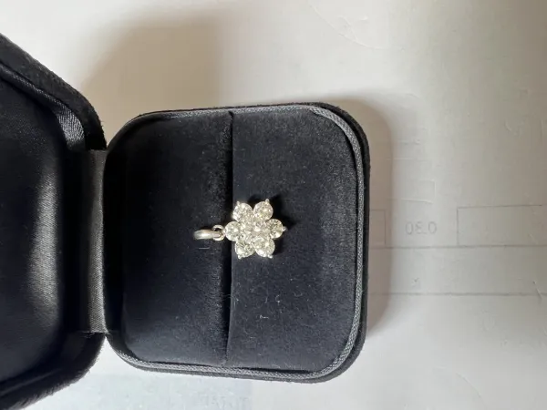 ダイヤモンドイヤリング/ピアス pt900 1ct